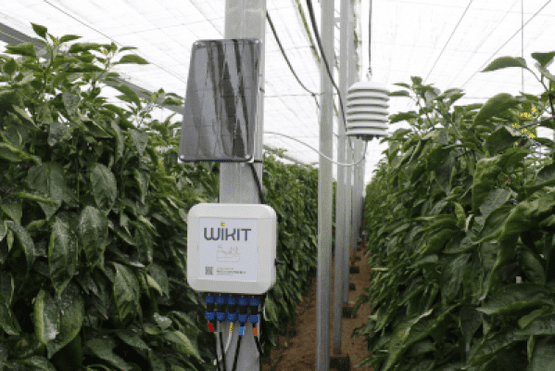 Wise Agrotecnología wikit 